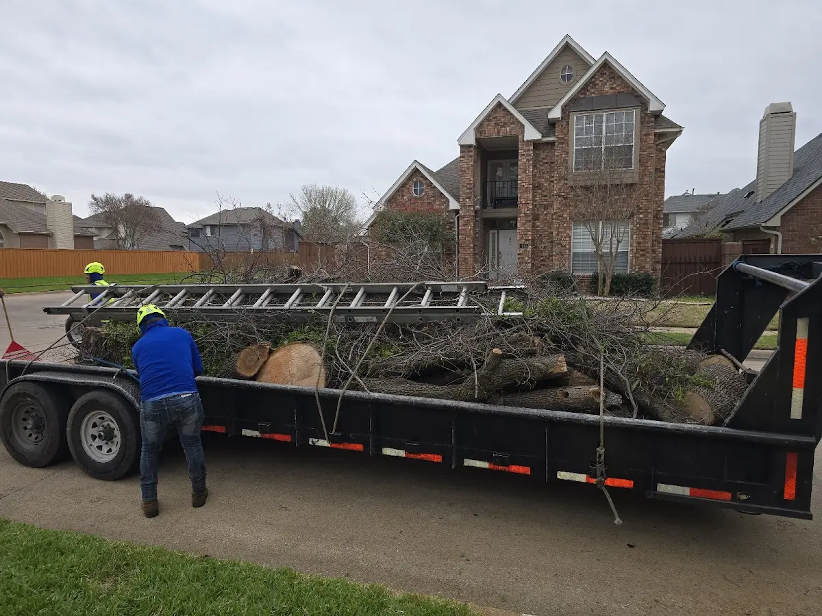 Expert Crown Reduction with proper safety equipment in Mapleton